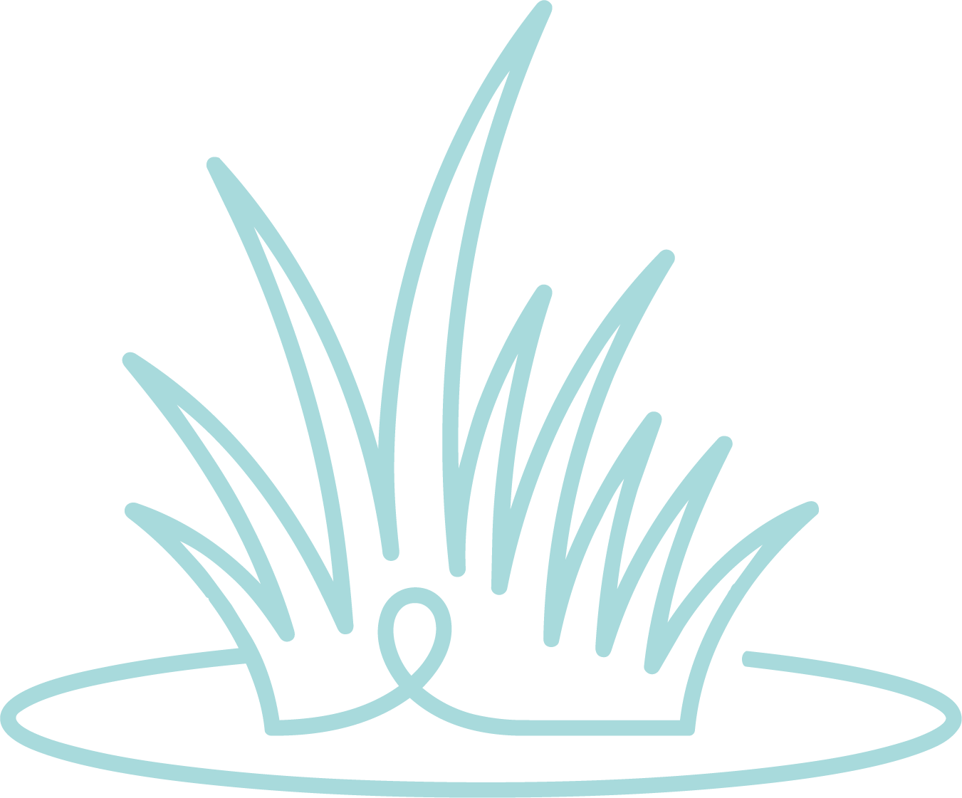 <p>Engazonnement et création de pelouses</p>